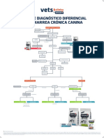 AFF - ES Poster Diagnostico Diferencial Diarreas Canínas