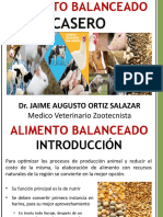 Alimento Balanceado Casero