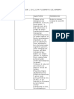 Cuadro Comparativo de La Evolución Filogenetica Del Cerebro