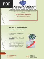 P-4-Estudio Tecnico y Ambiental para Un Proyecto de Inversion