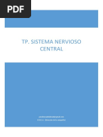 TP - Sistema Nervioso Central