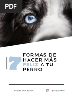 7 Formas de Hacer Más Feliz A Tu Perro