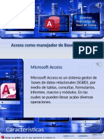 Access Como Manejador de Bases de Datos