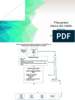 Flujograma Clínica Del Adulto Mayor