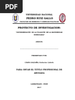 Proyecto de Tesis