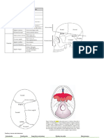 Depa Osteomioarticular 