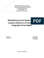 T4M3-Metabolismo de Las Lipoproteinas