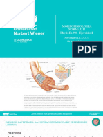 PhysioEx 2 Act 1-2-3-4-5-6