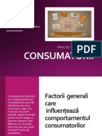 Factorii de Influenta A Consumatorilor