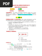 Sales Haloideas Basicas