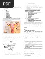 Tema 5. EMBARAZO ECTOPICO DR Canseco