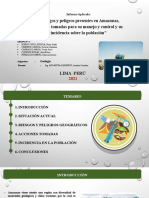 Riesgos y Peligros Presentes en Amazonas, Acciones Tomadas para Su Manejo y Control y Su Incidencia Sobre La Población-Grupo Nº1