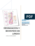 Degradacion y Biosintesis de Lipidos - Cartilla de Metabolismo.2020