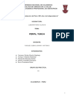 Informe Laboratorio Perfil Torch