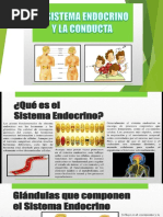 Sistema Endocrino