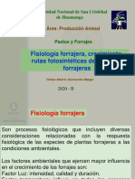 Fisiologia Forrajera Clases