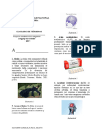 Glosario Lenguaje en El Adulto PDF