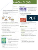 Biology N-Notes