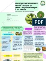 Mapa Conceptual de Biopesticidas - Alina Velasque