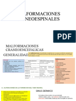 Malformaciones Cráneoespinales