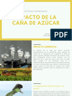 Impacto de La Caña de Azúcar