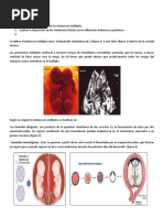 Clase de Embriologia - 2do Parcial