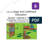 TLE Quarter 1 Module 4 PDF