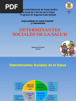 Determinantes Sociales de La Salud