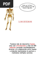 Anatomia 74