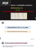 13 - Aplicación de Sistemas de Ecuaciones