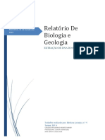 Relatório Biologia e Geologia I