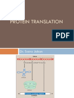 Protein Translation