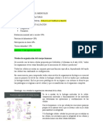 Histologia 03-08-2021