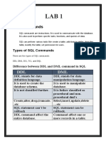 SQL Commands: DDL DML