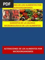 Alteraciones de Los Alimentos Por Microorganismos