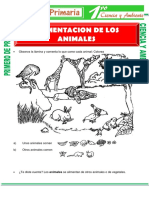 Alimentacion de Los Animales para Primero de Primaria