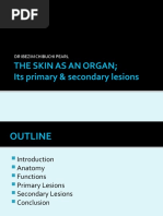 The Skin As An Organ at CBC