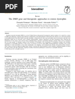 The DMD Gene and Therapeutic Approaches To Restore - 2021 - Neuromuscular Disor