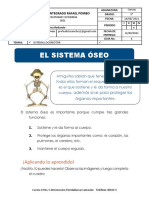 Sistema Locomotor Guia 6