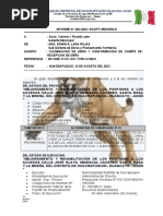 Informe 326-2021-Sgoat