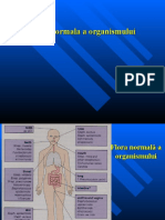 C4. Flora Normala, Cavitatea Bucala, Flora Normala A Cavitatii Bucale