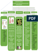 Esquema Fisiopatologia de Tuberculosis