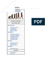 Evolución Humana