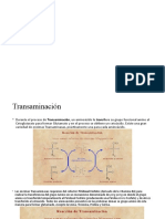 Trans y Des Aminación