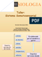 Fisiologia - CLASE - Somatosensorial 2017