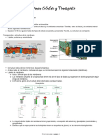 Membrana Celular y Transporte