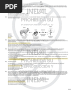 Dominio Cientifico Con Respuesta