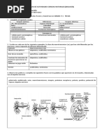 Taller Aplic Impulso Nervioso