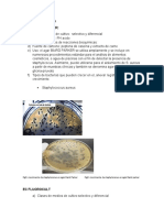 MEDIOS DE CULTIVO Natty