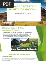 Zonas de Reserva y Protección Nacional